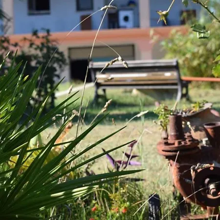 Holiday home A Paradise In Sardinia. 5 Minutes From The Sea Siniscola