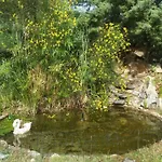 펜션 A Paradise In Sardinia. 5 Minutes From The Sea 시니스콜라
