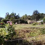 A Paradise In Sardinia. 5 Minutes From The Sea * 시니스콜라
