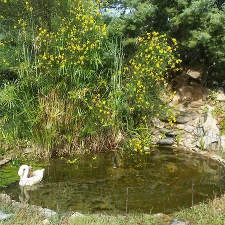 Дом отдыха A Paradise In Sardinia. 5 Minutes From The Sea Синискола