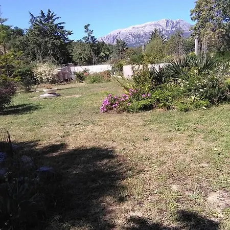 A Paradise In Sardinia. 5 Minutes From The Sea * Siniscola